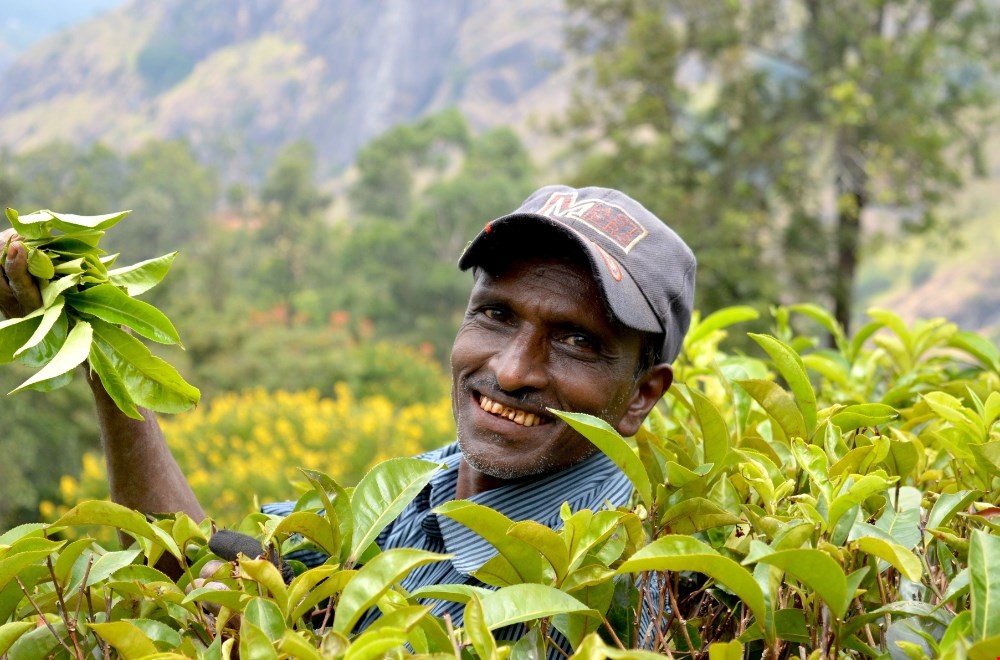 tuktukreissrilanka.nl